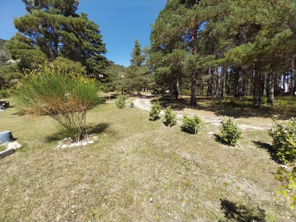 Petit Studio Dans La Prairie Saint-Auban  Ngoại thất bức ảnh