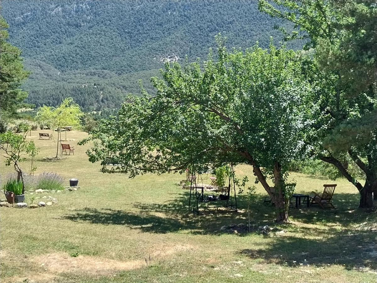 Petit Studio Dans La Prairie Saint-Auban  Ngoại thất bức ảnh