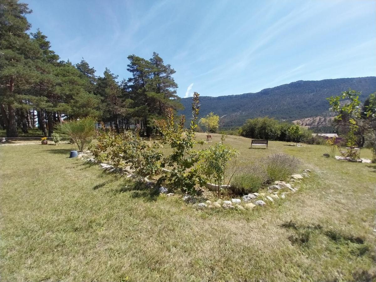 Petit Studio Dans La Prairie Saint-Auban  Ngoại thất bức ảnh
